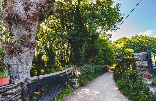 Camino de Santiago francés en 7 días - Foto 2