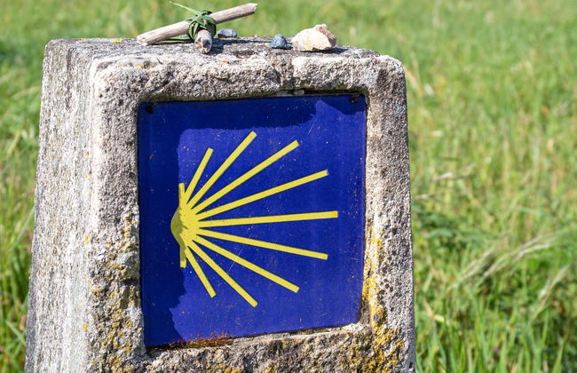 Camino de Santiago francés en 7 días - Foto 10