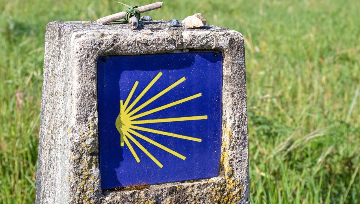 Cammino di Santiago francese in 7 giorni