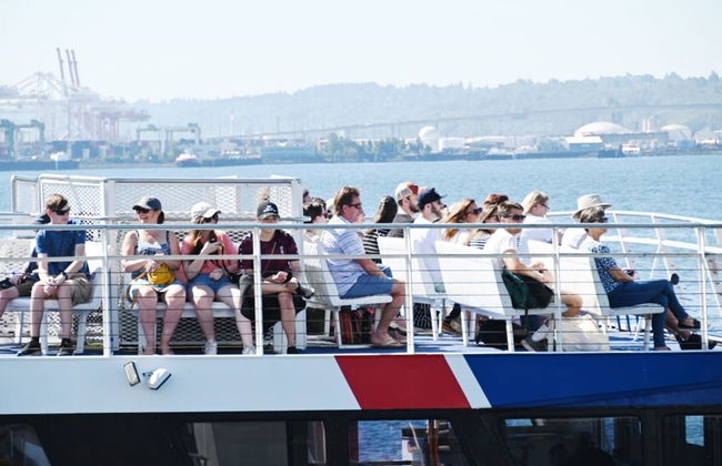 Avistamiento de ballenas en Seattle - Foto 3