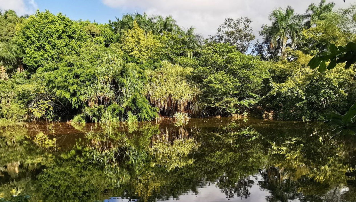 Tour por Puerto Plata e Taino Valley