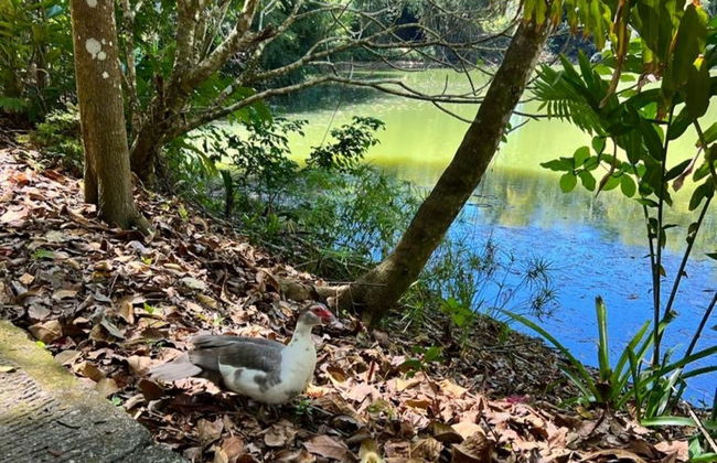 Tour por Puerto Plata y Taino Valley - Foto 5