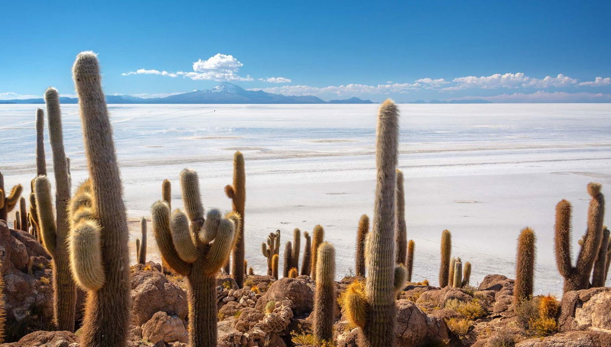 Excursión de 2 días a La Paz y el Salar de Uyuni - Foto 1