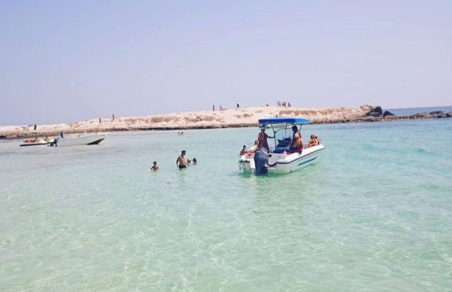 Avistamiento de delfines en Djerba - Foto 4