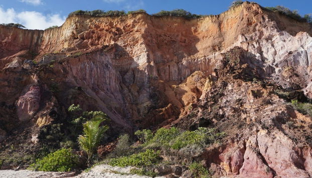 Carapibus, Tabatinga & Bela Beach Day Trip - Photo 4