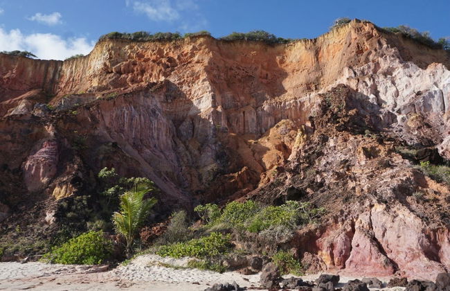 Excursion aux plages de Carapibus, Tabatinga et Bela - Photo 4
