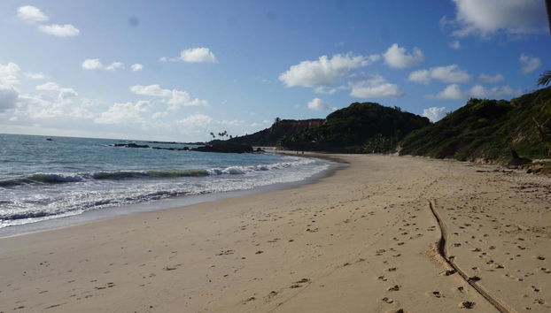 Carapibus, Tabatinga & Bela Beach Day Trip - Photo 3