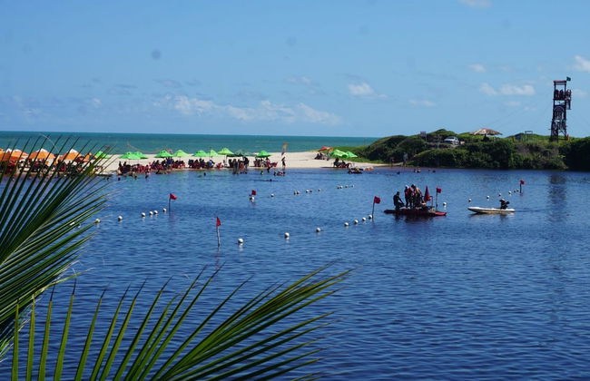 Excursion aux plages de Carapibus, Tabatinga et Bela - Photo 6