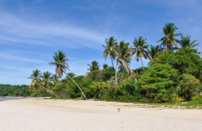 Morro de São Paulo Day Trip - Photo 3