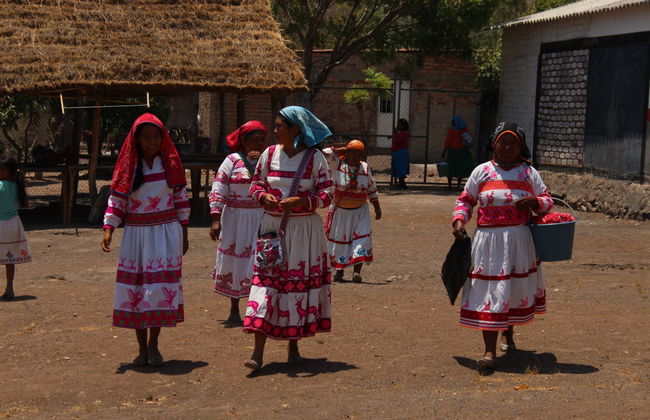 Visite à la découverte de la culture huichol - Photo 8