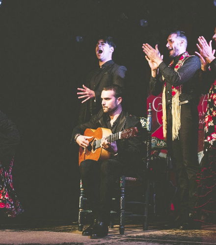 Foto de Espectáculo flamenco en el tablao Casa Ana