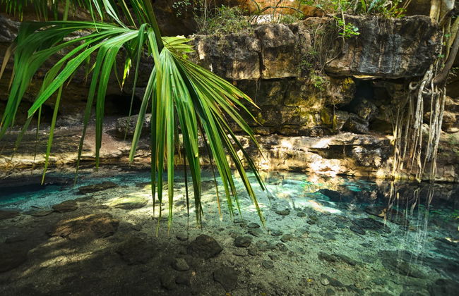 Homun Cenotes Day Trip - Foto 1