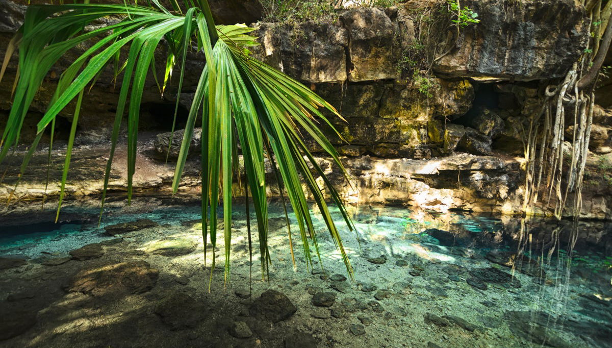 Excursión a los cenotes de Homún - Foto 1