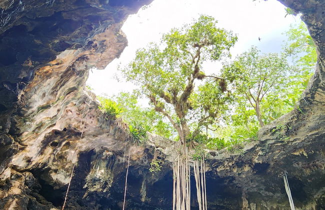 Excursión a los cenotes de Homún - Foto 7