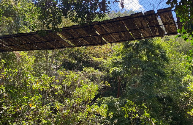 Tirolina en los bosques de Oaxaca - Foto 4