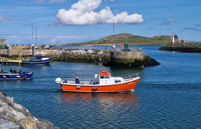 Passeio de barco por Howth e pela ilha Ireland’s Eye - Foto 9