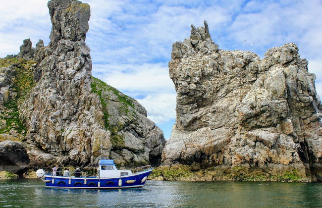 Passeio de barco por Howth e pela ilha Ireland’s Eye - Foto 6