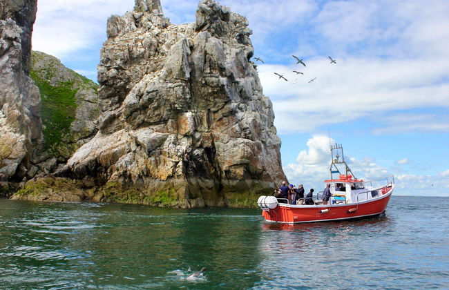 Passeio de barco por Howth e pela ilha Ireland’s Eye - Foto 8