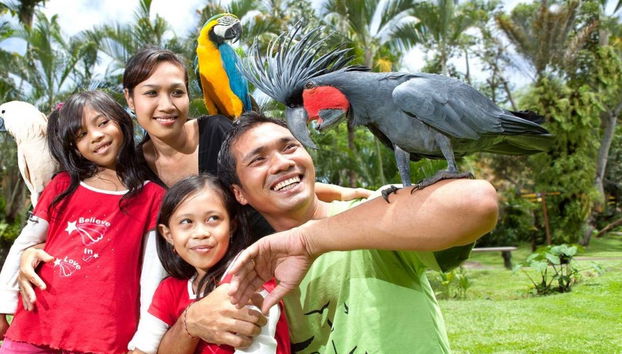 Bali Bird Park Ticket - Foto 3