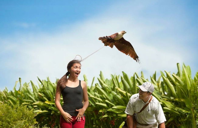 Entrada a Bali Bird Park - Foto 4
