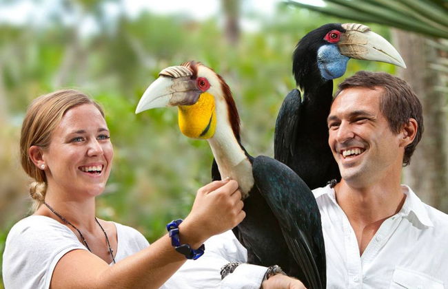 Bali Bird Park Ticket - Photo 1