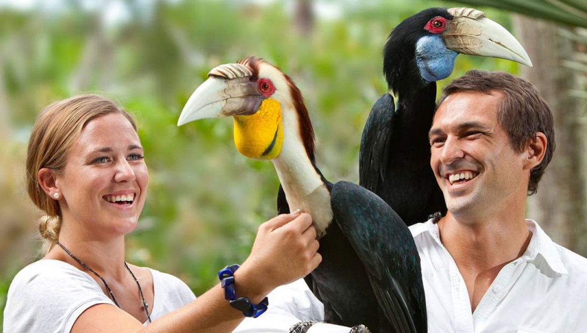 Bali Bird Park Ticket - Foto 1