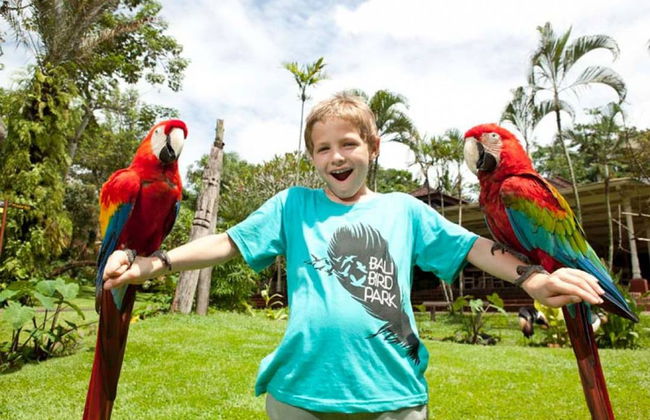 Entrada a Bali Bird Park - Foto 3