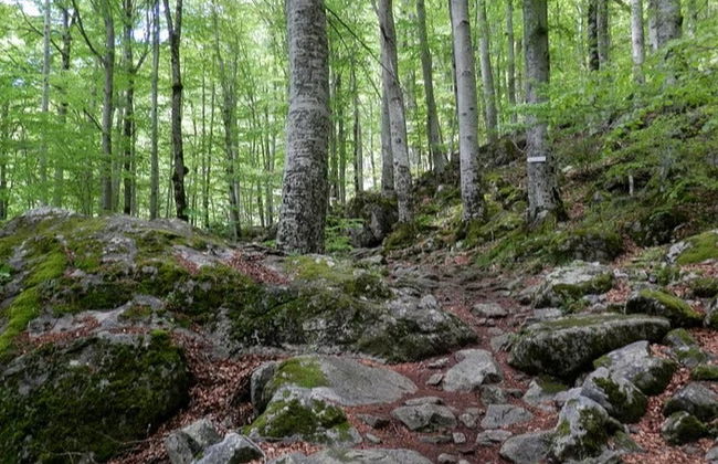 Excursion au monastère de Rila et à la grotte Ivan Rilski - Photo 5