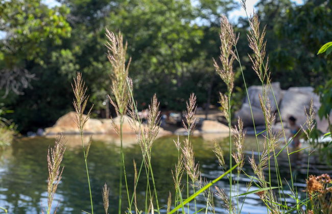 São Jorge Waterfall Hiking Tour - Photo 6