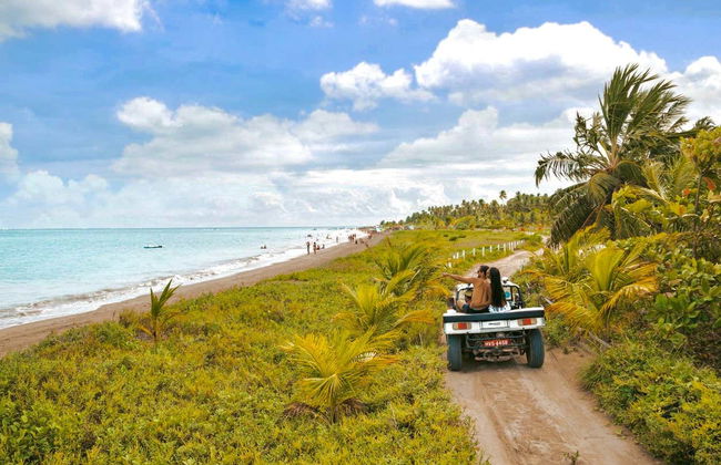 Excursão a Maragogi - Foto 4