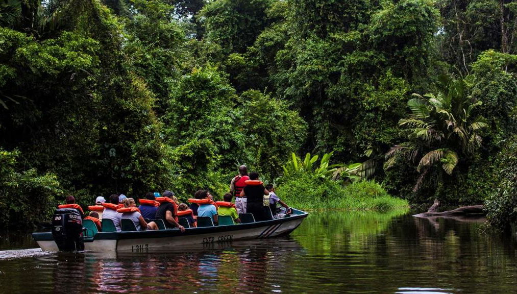 Entdecken Sie den Tortuguero Nationalpark – Ganztägige Tour - Foto 1