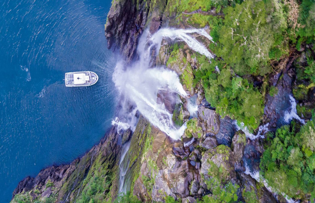 Discover Milford Sound from Te Anau with Lunch - Full-Day Tour - Photo 5
