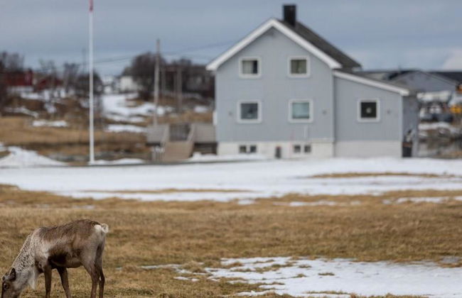 Explora los fiordos del norte de Kvaløya: tour de medio día - Foto 3