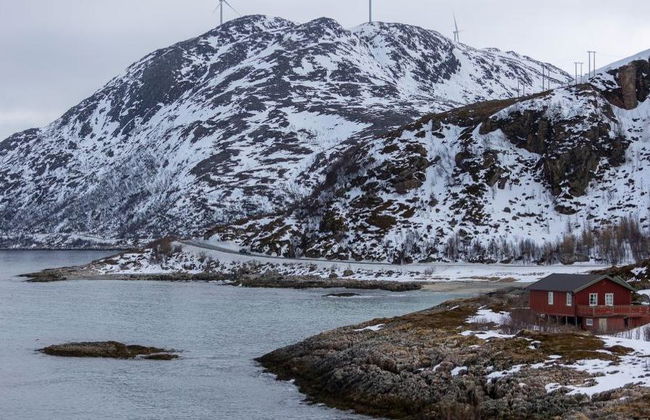 Explora los fiordos del norte de Kvaløya: tour de medio día - Foto 2