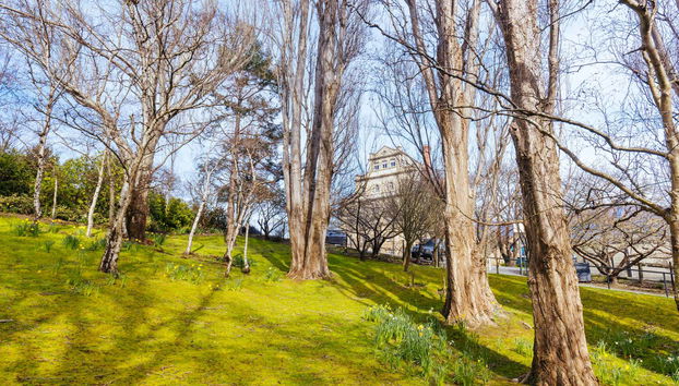 Tour panoramico di Hobart - Foto 3