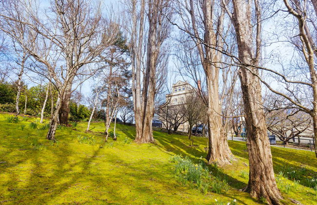 Sightseeing Bus Tour of Hobart + MONA - Photo 4