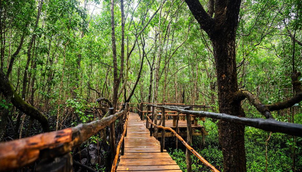 Excursión guiada a Prison Island y al bosque Jozani - Foto 1