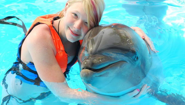 Delfinshow & Schwimmen mit Delfinen - Foto 2