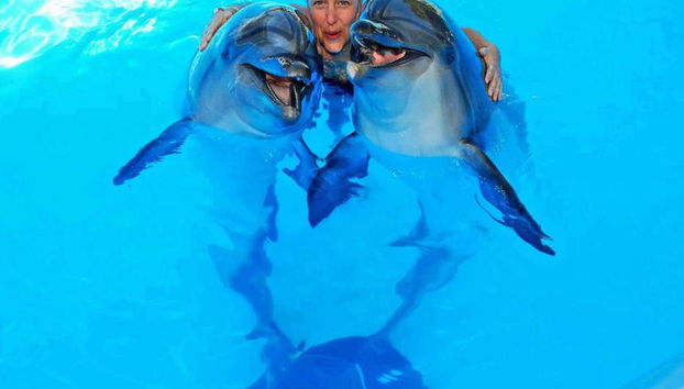 Delfinshow & Schwimmen mit Delfinen - Foto 5