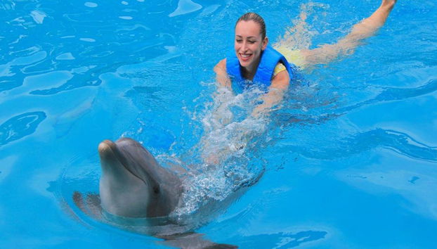 Delfinshow & Schwimmen mit Delfinen - Foto 4