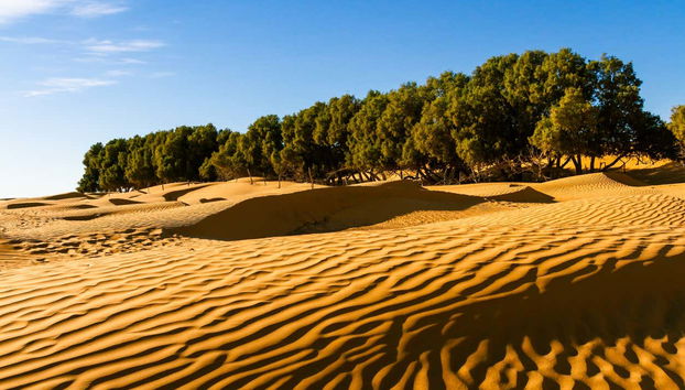Excursión a Ksar Ghilane y Matmata - Foto 5