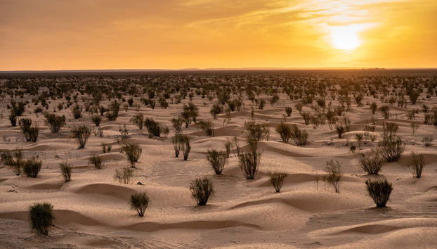 Excursión a Ksar Ghilane y Matmata - Foto 3
