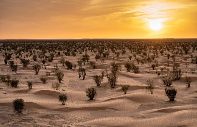 Day Trip to Ksar Ghilane & Matmata - Foto 3