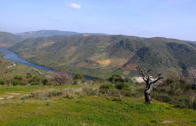 Senderismo por los petroglifos del Valle del Coa - Foto 6