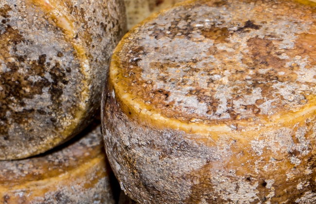 Cata de vino, queso y embutidos en Cagliari - Foto 8