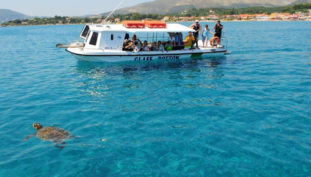 Avvistando le tartarughe dalla barca