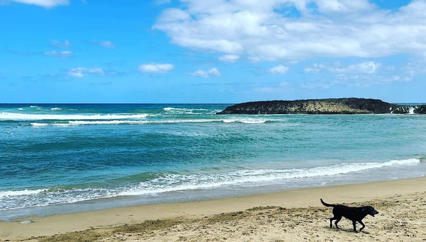 Excursión a las cascadas de Gozalandia - Foto 5