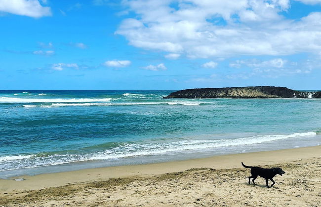 Excursión a las cascadas de Gozalandia - Foto 5