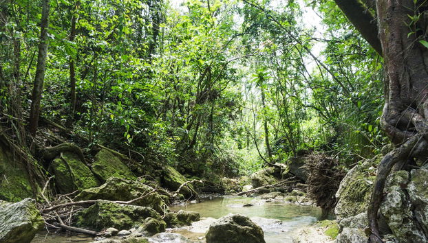 Excursión a las cascadas de Gozalandia - Foto 2