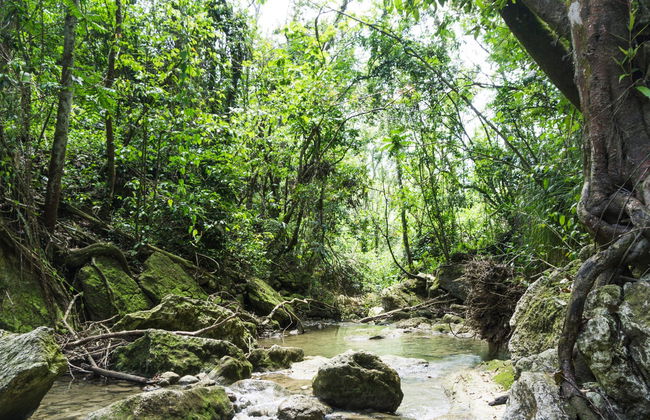 Excursión a las cascadas de Gozalandia - Foto 2